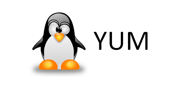 Hướng dẫn fix lỗi no module named yum