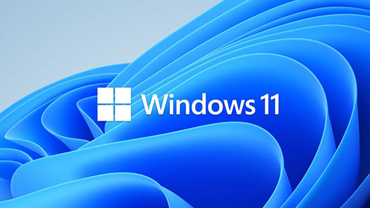 [Windows 11] Hướng dẫn xóa Windows 11 pro insider preview Evaluation