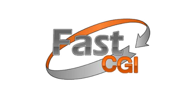 Fastcgi. C# fastcgi. Fastcgi как читать. Fastcgi. Флаг рнр.